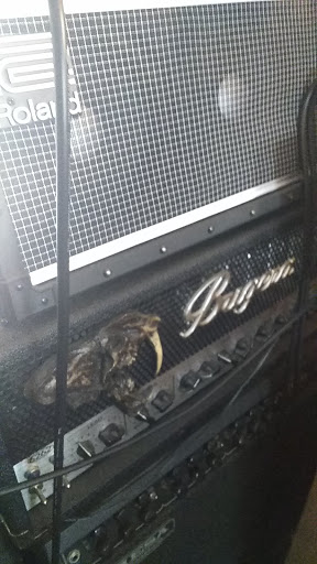 Musical Instrument Store «Sam Ash Music Stores», reviews and photos, 11805 Commons Dr, Cincinnati, OH 45246, USA