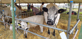 South Gloucestershire Show