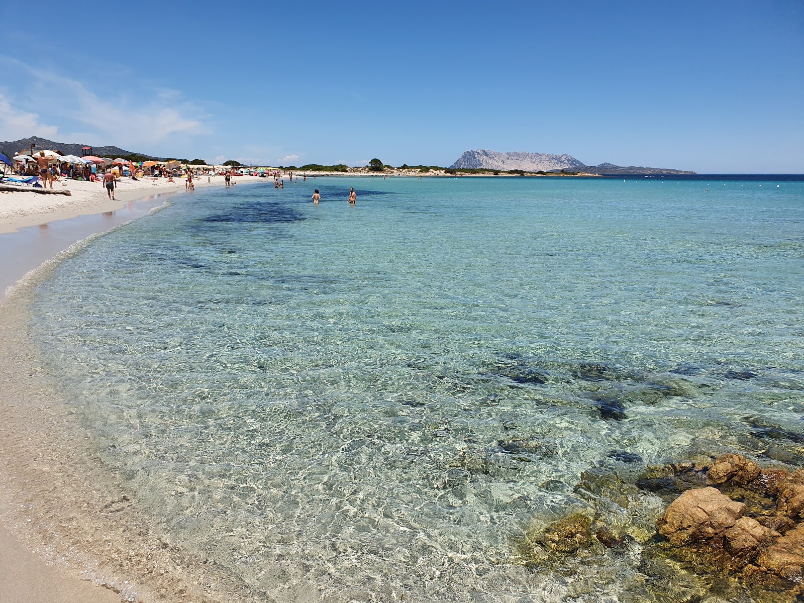 Photo de Plage d'Isuledda avec sable fin et lumineux de surface