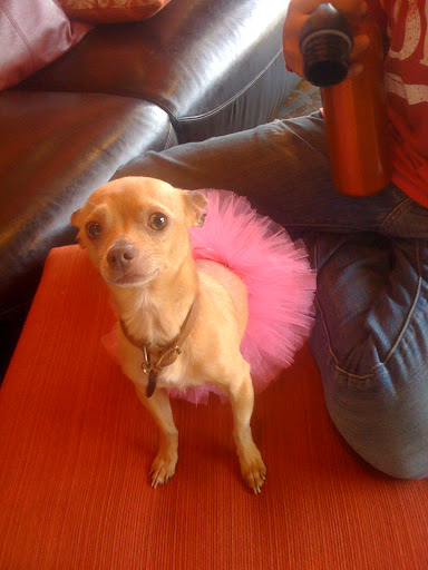 Florist «The Flower Shop», reviews and photos, 121 N 3rd St, Tooele, UT 84074, USA