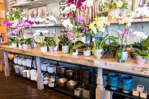 Florist «Happy Canyon Flowers», reviews and photos, 5048 E Hampden Ave, Denver, CO 80222, USA