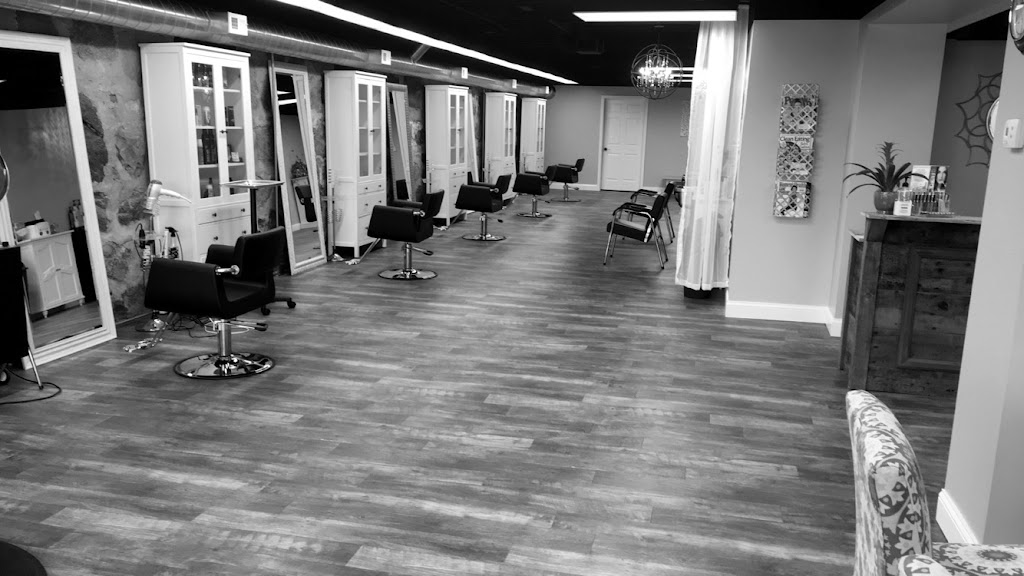 Salon Solera 55313