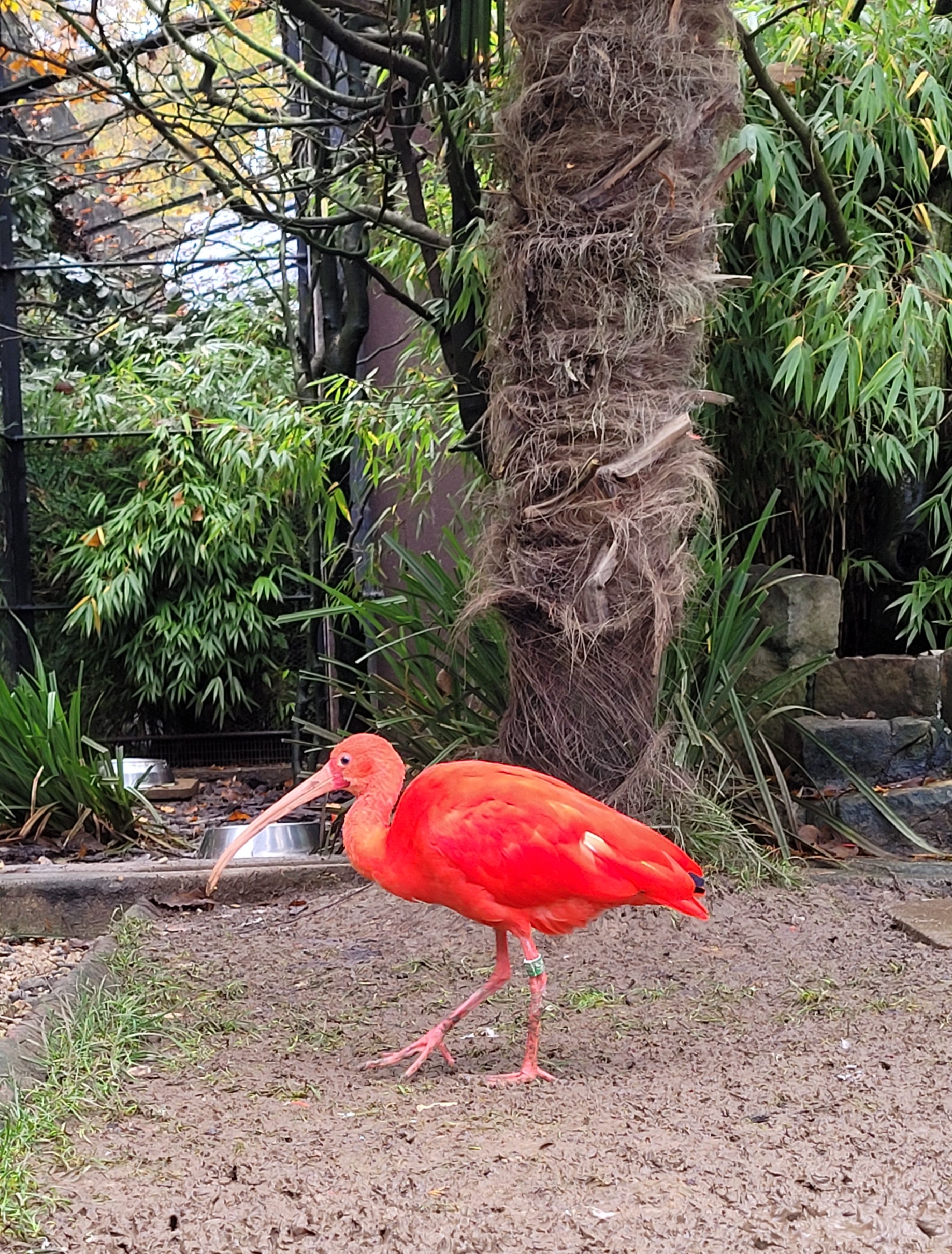 Photo n° 5 de l'avis de Sophie.a fait le 22/11/2023 à 15:36