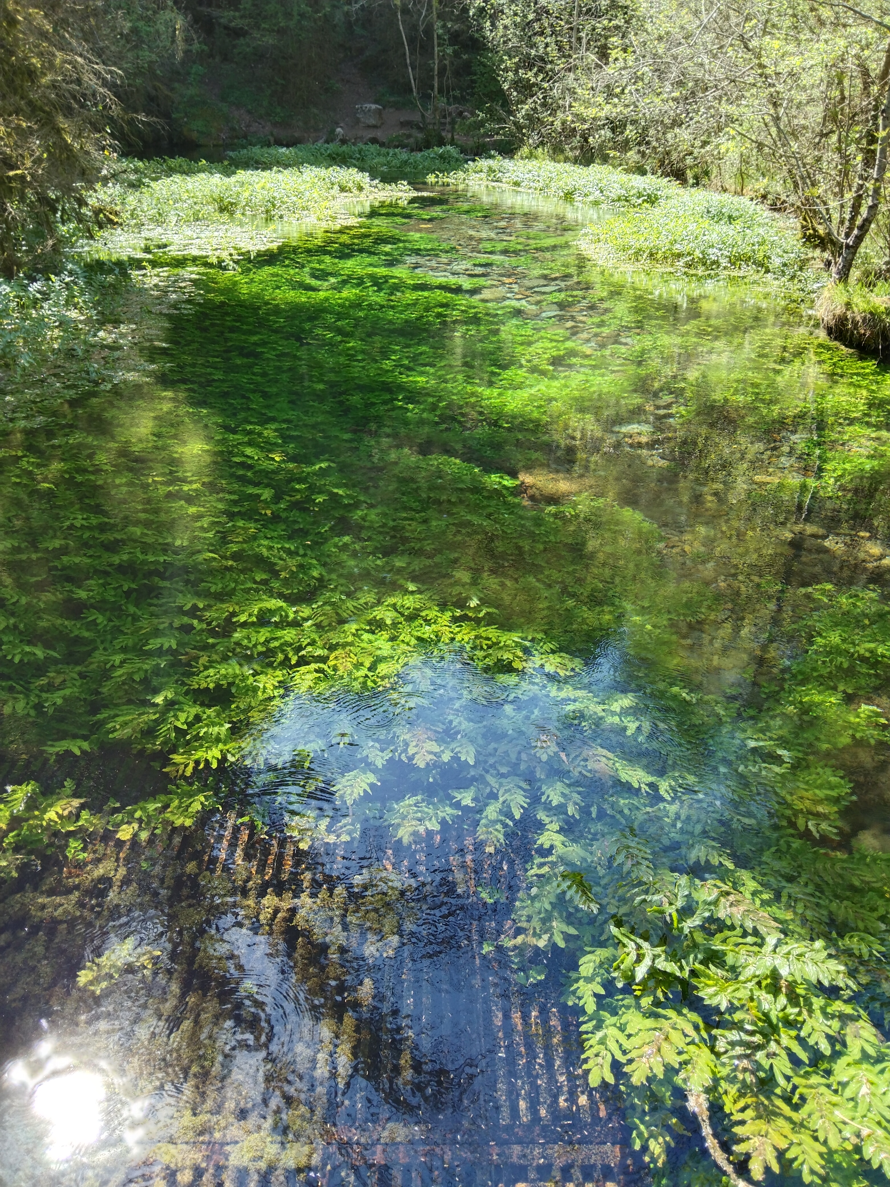 Photo n° 3 de l'avis de Jean-Marc.O fait le 04/05/2023 à 14:00