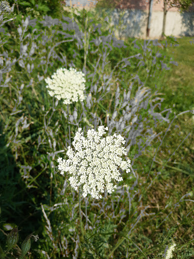 Park «New Haven Park», reviews and photos, New Haven Ave, Aurora, IL 60506, USA