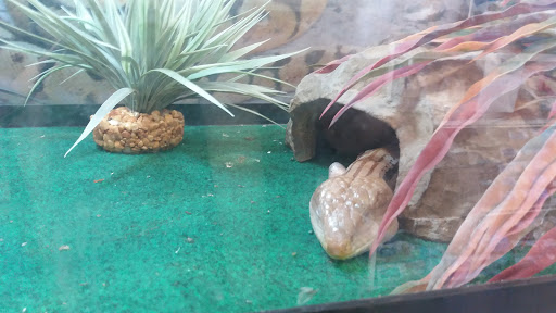 Craft Store «Michaels», reviews and photos, 100-B Independent Way, Brewster, NY 10509, USA