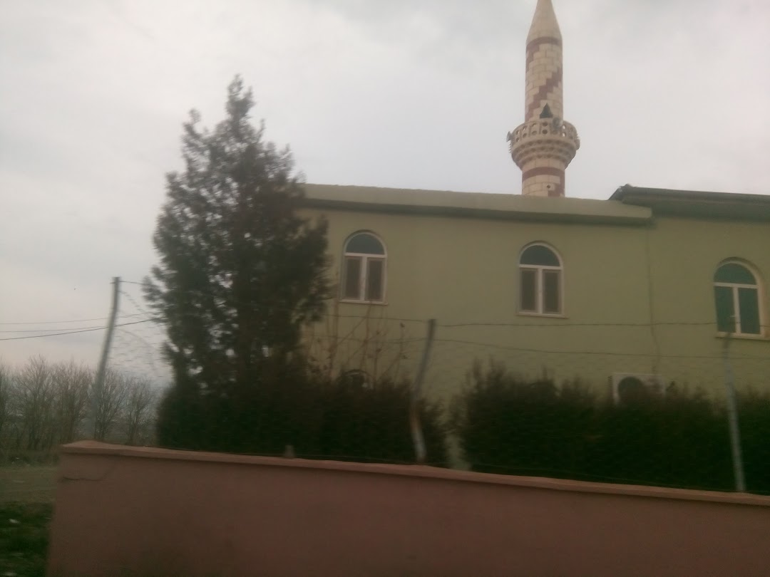 Aralik Camii Ve Taziye Evi