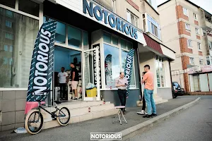 notorious-store.ro image