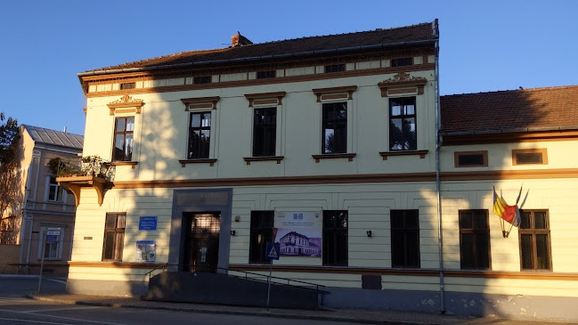 Biblioteca Municipală Lugoj - Bibliotecă