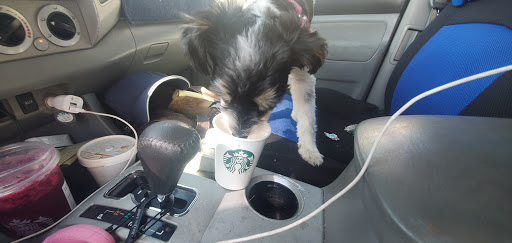 Pet Supply Store «Unleashed by Petco», reviews and photos, 2643 Tapo Canyon Rd c, Simi Valley, CA 93063, USA