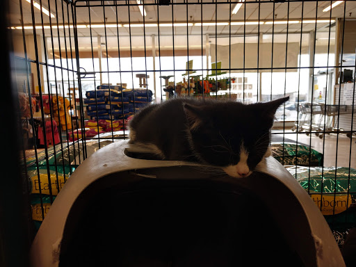 Pet Store «Pet World Warehouse Outlet», reviews and photos, 2984 S 108th St, Milwaukee, WI 53227, USA
