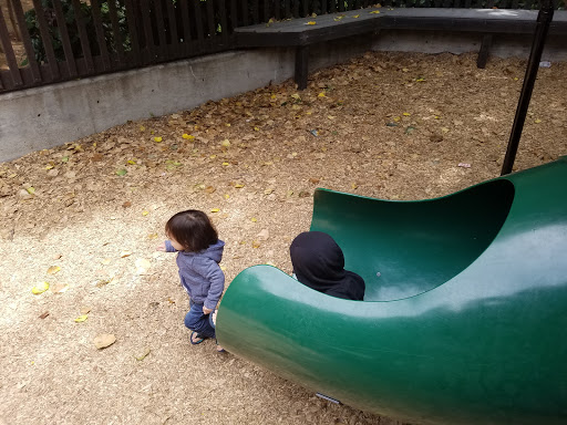 Park «FROG Park», reviews and photos, 5500 Claremont Ave, Oakland, CA 94618, USA