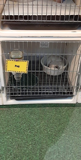 Pet Store «Pet Zone», reviews and photos, 21182 Salmon Run Mall Loop W, Watertown, NY 13601, USA