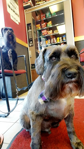 Auto Repair Shop «AA Auto Technicians, Inc», reviews and photos, 1318 S Frontage Rd, Hastings, MN 55033, USA