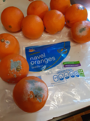 Supermarket «Stop & Shop», reviews and photos, 66 Point Judith Rd, Narragansett, RI 02882, USA