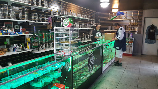 Tattoo Shop «The Sick West», reviews and photos, 600 S Solano Dr, Las Cruces, NM 88001, USA