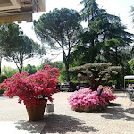 Photo n°4 de l'avis de Isabella.n fait le 02/07/2018 à 10:08 sur le  Hotel Terme Apollo à Montegrotto Terme