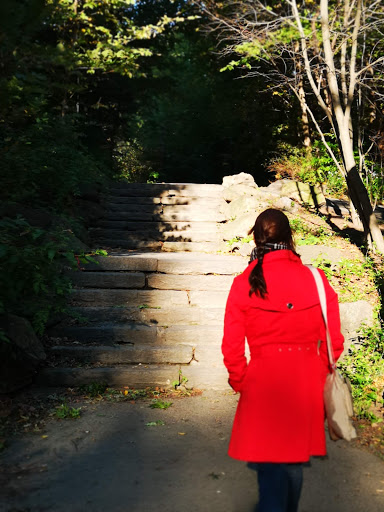 Park «The Loch», reviews and photos, Central Park West, New York, NY 10026, USA