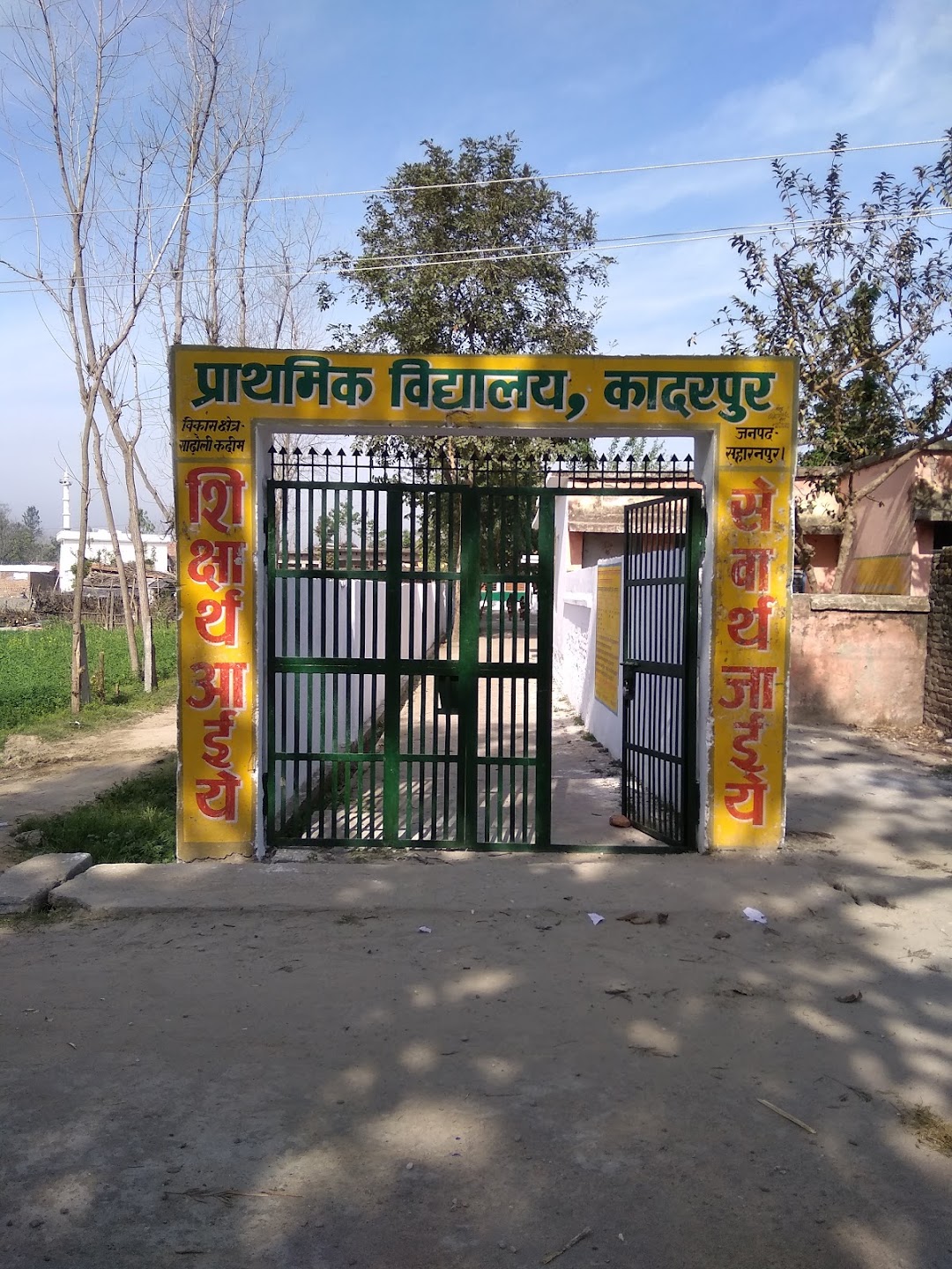 Primary School