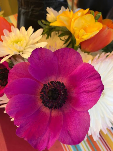 Florist «Petals by the Beach», reviews and photos, 1470 Garnet Ave, San Diego, CA 92109, USA