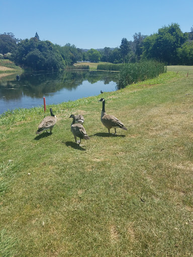 Public Golf Course «Bidwell Park Golf Course», reviews and photos, Golf Course Rd, Chico, CA 95973, USA