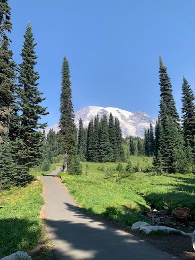 Insurance Agency «Youkie Chambers - State Farm Insurance Agent», reviews and photos