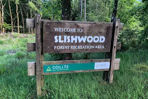 Slishwood Forest image