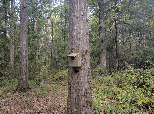 Park «Heritage Park», reviews and photos, 99 Lake Dow Rd, McDonough, GA 30252, USA