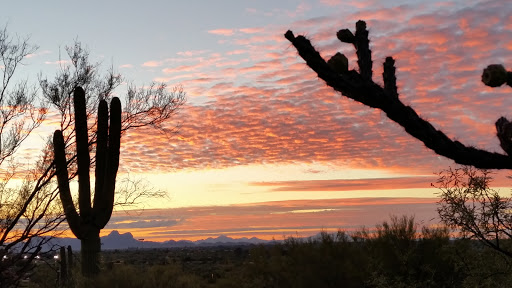 Tourist Attraction «Linda Vista Trail», reviews and photos, 730 E Linda Vista Rd, Oro Valley, AZ 85737, USA