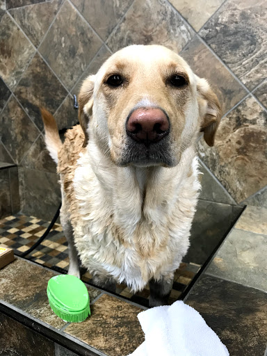 Pet Valu, 13828 E 14 Mile Rd, Warren, MI 48088, USA, 