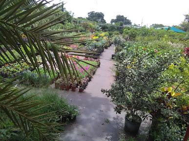 Longwood Gardens Nursery And Landscaping