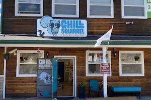 The Chill Squirrel Trading Company image