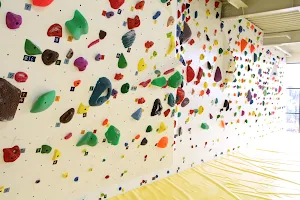 Climbing Gym SPIDER image
