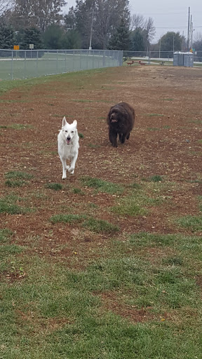 Dog Park «Dog Park», reviews and photos, 851 17th Ave SW, Altoona, IA 50009, USA