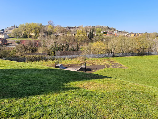 Hafod Skating Park