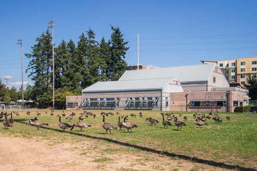 Community Center «Bitter Lake Community Center», reviews and photos, 13035 Linden Ave N, Seattle, WA 98133, USA