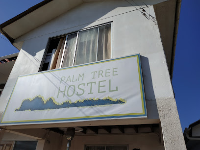 Palm Tree Hostel Los Vilos