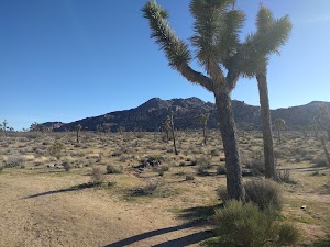 Quail Springs Trail - photo 38