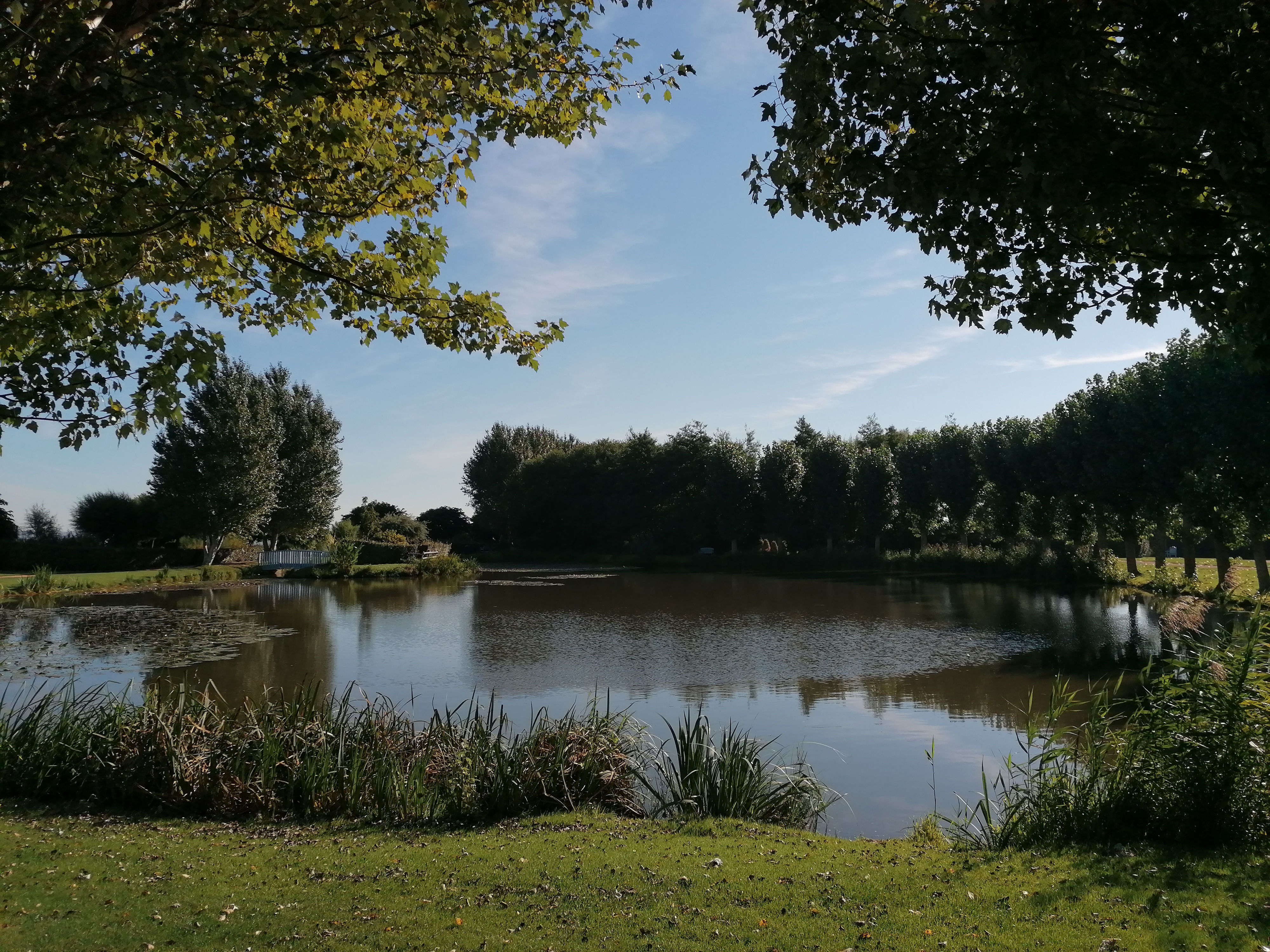 Photo n° 4 de l'avis de Dominico.a fait le 21/09/2021 à 08:46