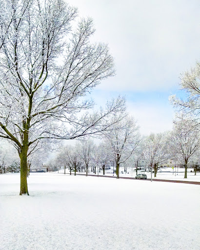Park «Victory Memorial Parkway», reviews and photos, 4499 Victory Memorial Dr, Minneapolis, MN 55412, USA