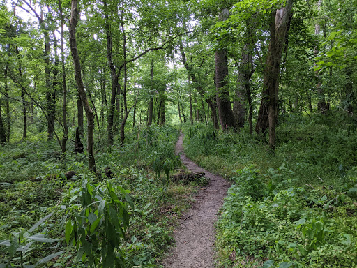 Park «Joe Creason Park», reviews and photos, 1297 Trevilian Way, Louisville, KY 40213, USA