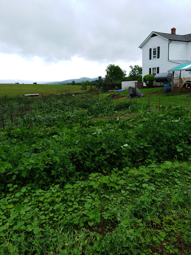 Shopping Mall «Orange Village Shopping Center», reviews and photos, 500 N Madison Rd, Orange, VA 22960, USA