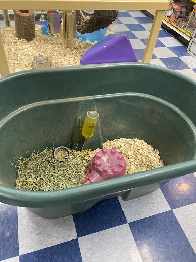 Pet Store «Pet Station Reno», reviews and photos, 5065 S McCarran Blvd, Reno, NV 89502, USA