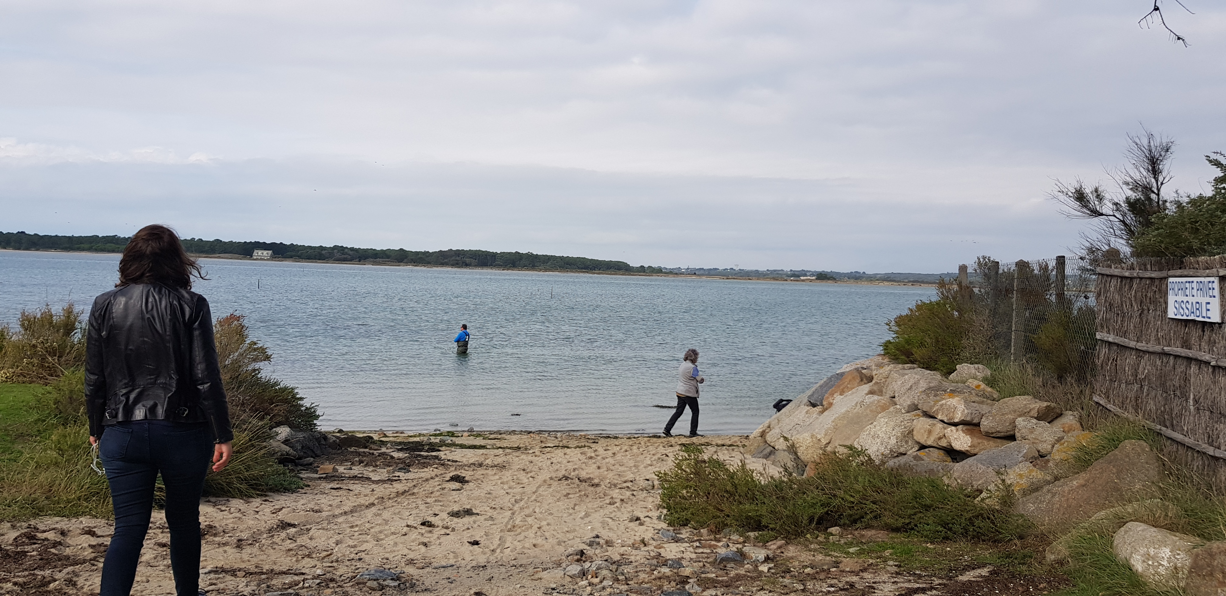 Photo n° 2 de l'avis de dragon. fait le 29/11/2019 à 13:16