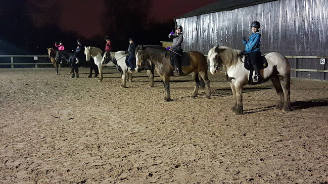 Reviews of Carrington Riding Centre in Manchester - School
