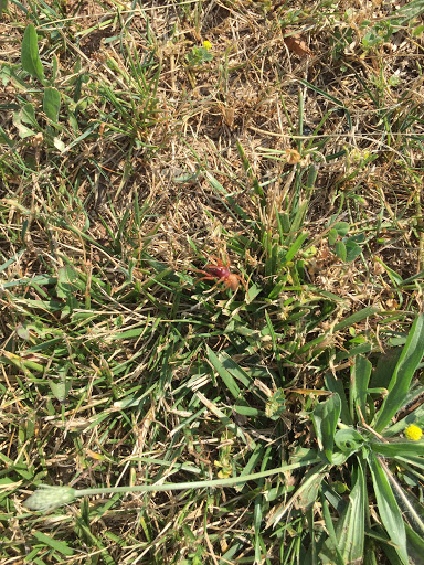 Chevrolet Dealer «Richard Chevrolet», reviews and photos, 1405 Highland Ave, Cheshire, CT 06410, USA