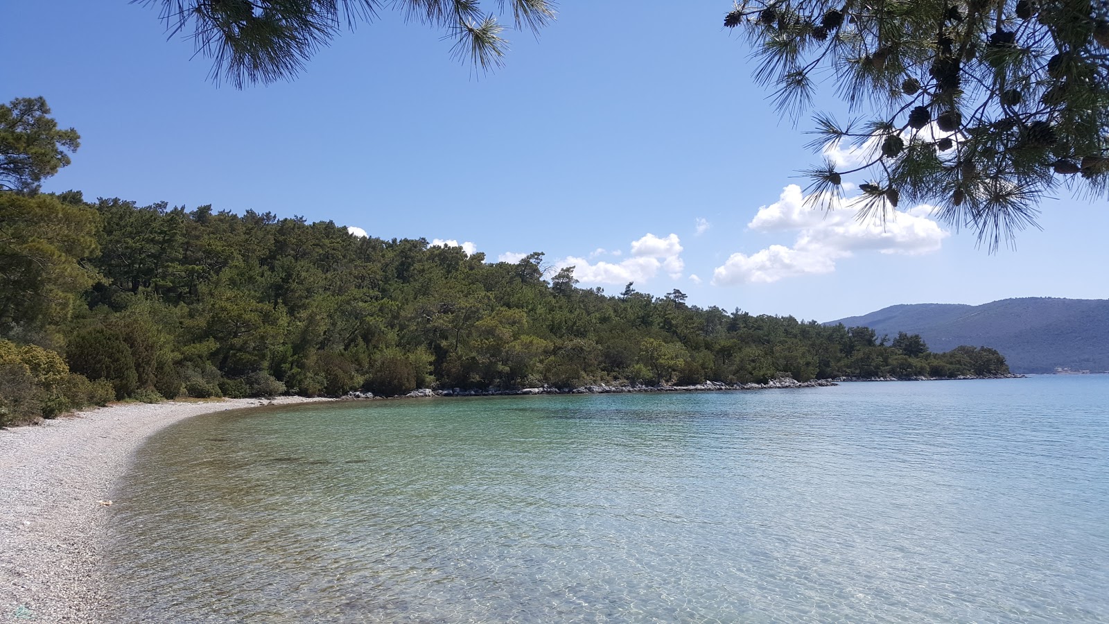 Foto av Iron Cove Beach med beige småsten yta