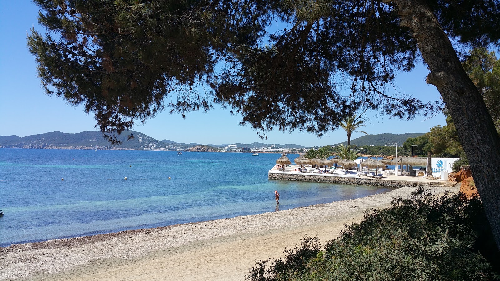 Platja Sargamasa'in fotoğrafı çok temiz temizlik seviyesi ile