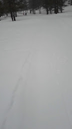 Photo n°48 de Auberge Val Casterino à Tende ()