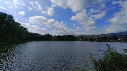 Proboštovský rybník